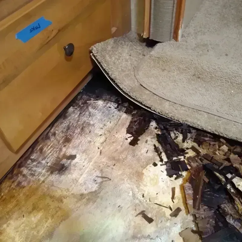 Wood Floor Water Damage in Morgan County, IL